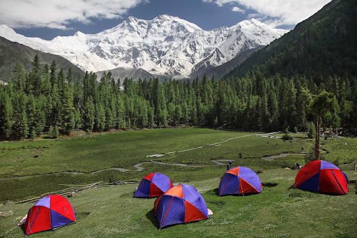 Fairy Meadows